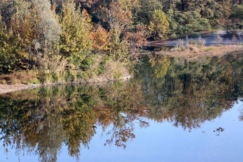 Un mondo riflesso...
